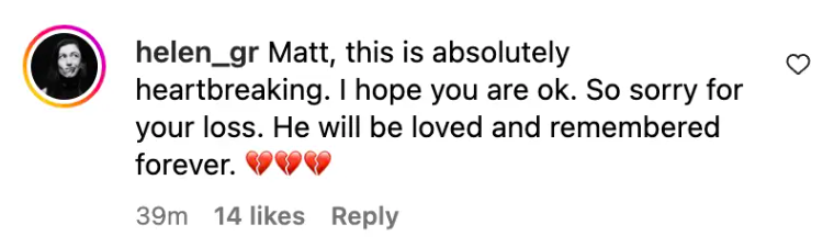 Fan comment about Matt LeBlanc's tribute, dated November 14, 2023 | Source: Instagram/mleblanc