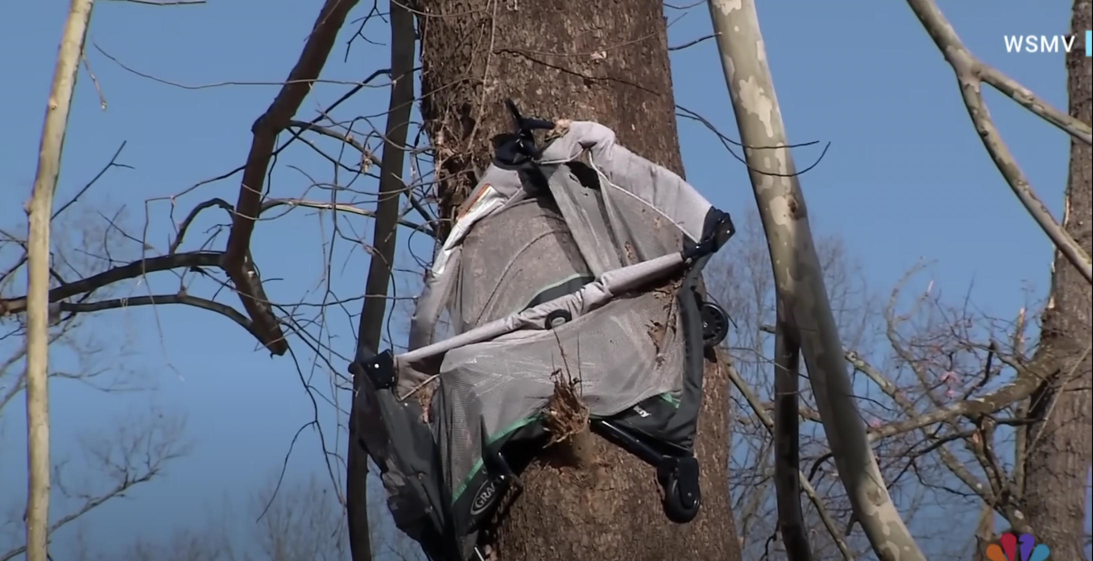 Bassinet hanging from a tree, resembling a cradle, as seen in a video dated December 16, 2023 | Source: youtube.com/NBC News