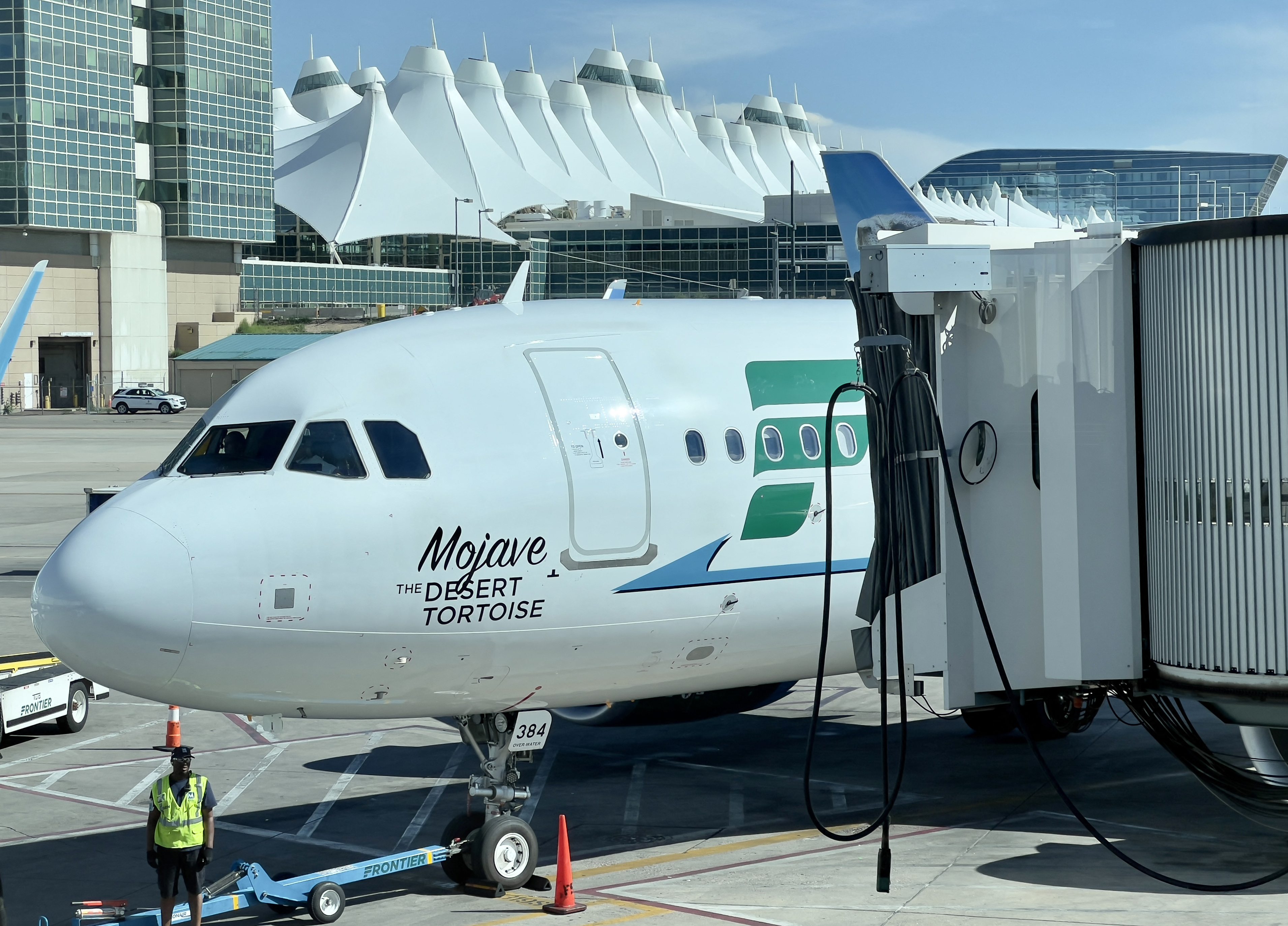 A Frontier Airlines Airbus A320neo, featuring the Mojave Desert Tortoise to raise awareness for the endangered species, sits at a gate at Denver International Airport in Denver, Colorado, on August 5, 2023 | Source: Getty Images