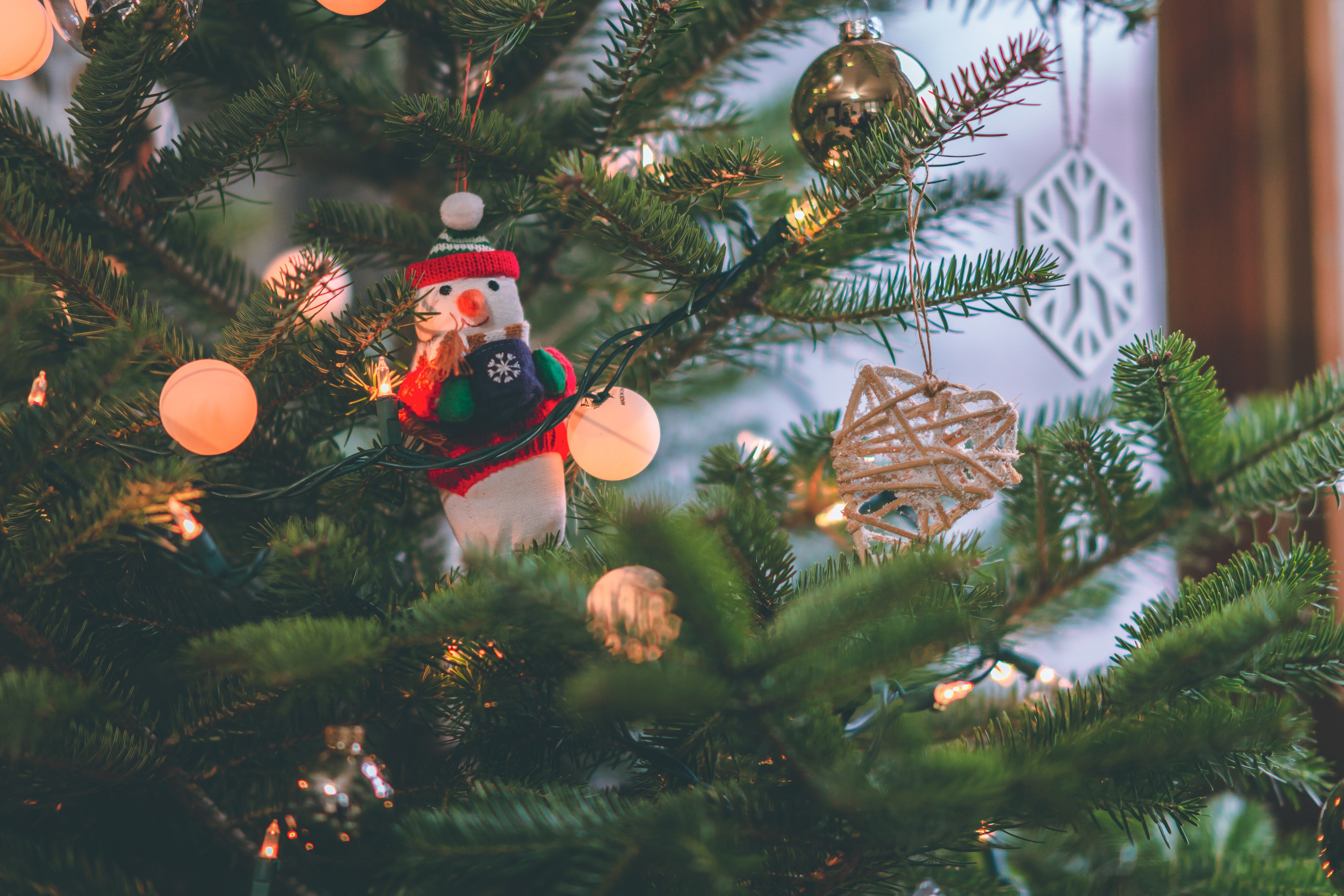 Image of a decorated Christmas tree | Photo: Pexels