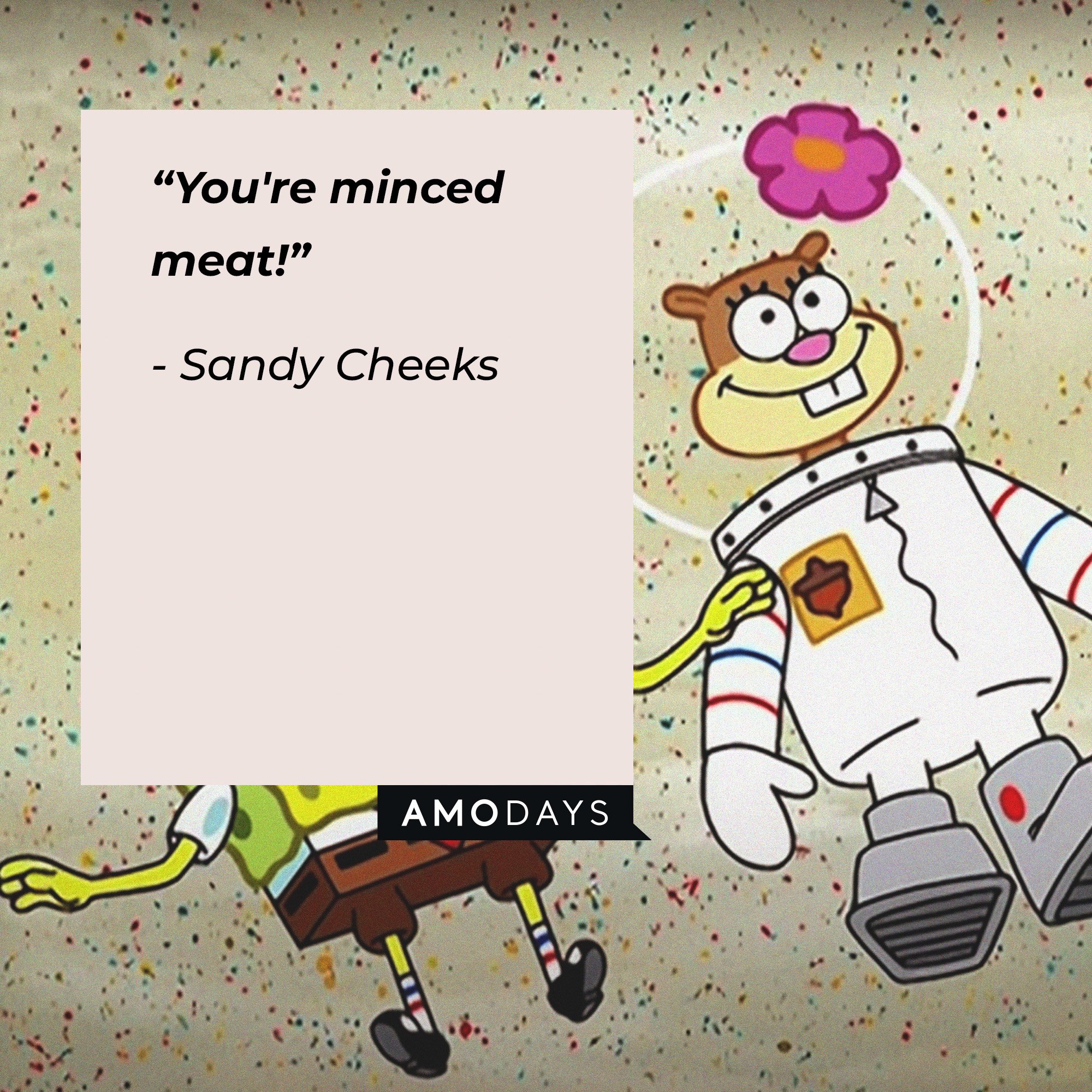 Sandy Cheeks's quote: “You're minced meat!” | Image: AmoDays 