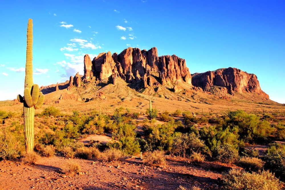 Desierto de Arizona. | Foto: Shutterstock