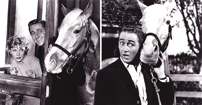 'Mister Ed:' 20 Facts about the '60s Show That Fans Might Not Know