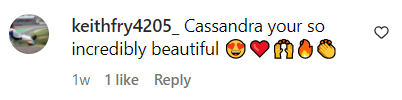 A comment left under a picture of Cassandra Peterson on Instagram | Source: instagram.com/therealelvira/