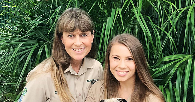 instagram.com/bindisueirwin