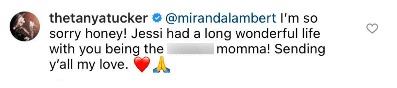 A fan’s comment on Miranda Lambert’s post sharing their condolences on July 29, 2021 | Photo: Instagram/mirandalambert