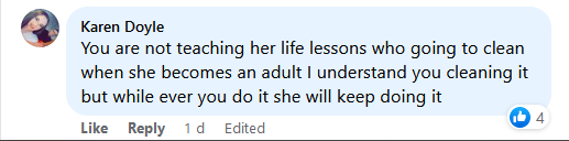 Der Kommentar einer Person zu Snowenne, die das Zimmer ihrer jugendlichen Tochter aufräumt | Quelle: Facebook.com/DailyMail