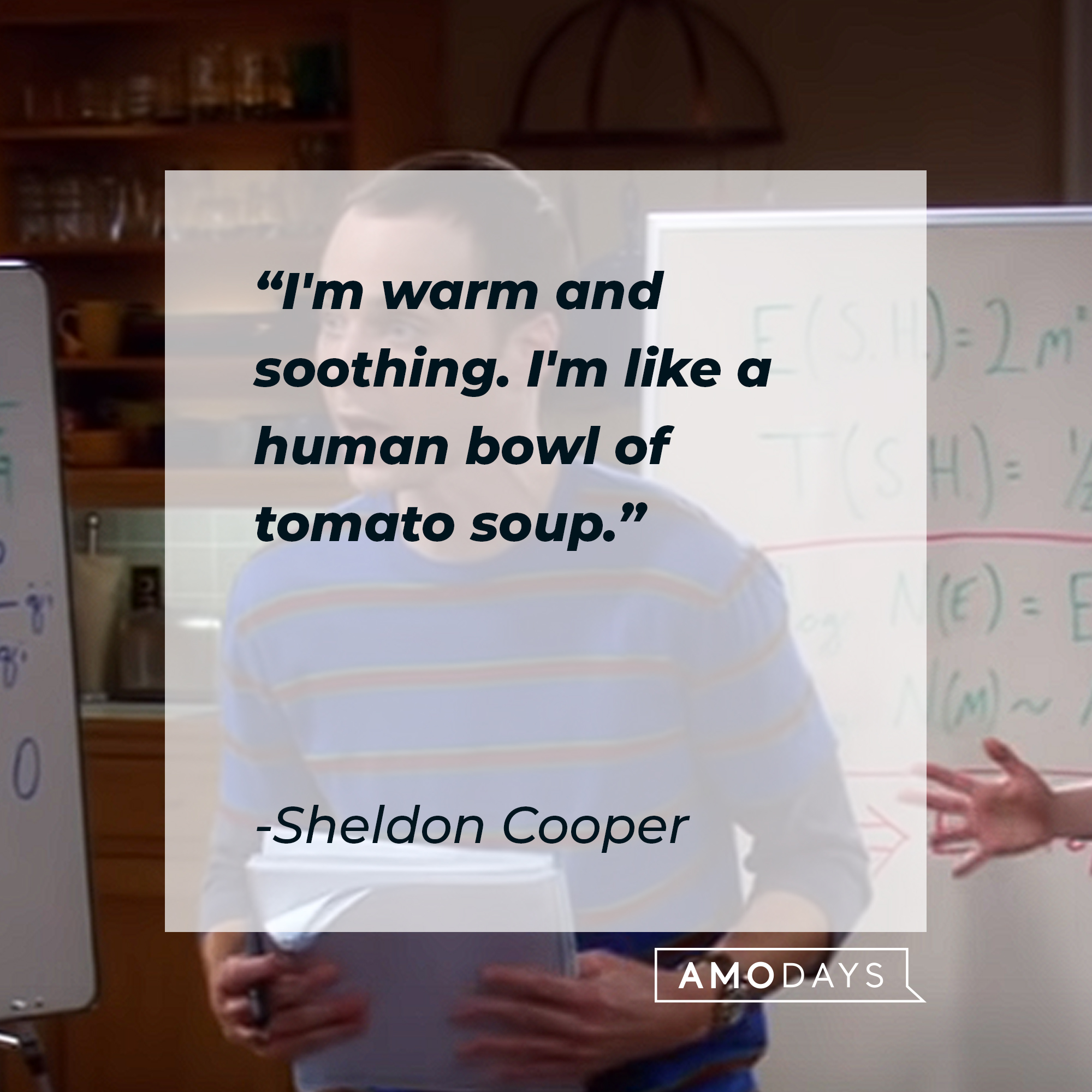 Sheldon Cooper's quote: "I'm warm and soothing. I'm like a human bowl of tomato soup." | Source: youtube.com/warnerbrostv