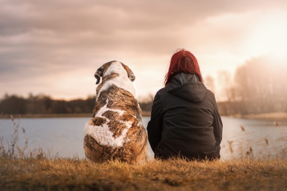 Frau und Hund sitzen am See | Quelle: Pixabay