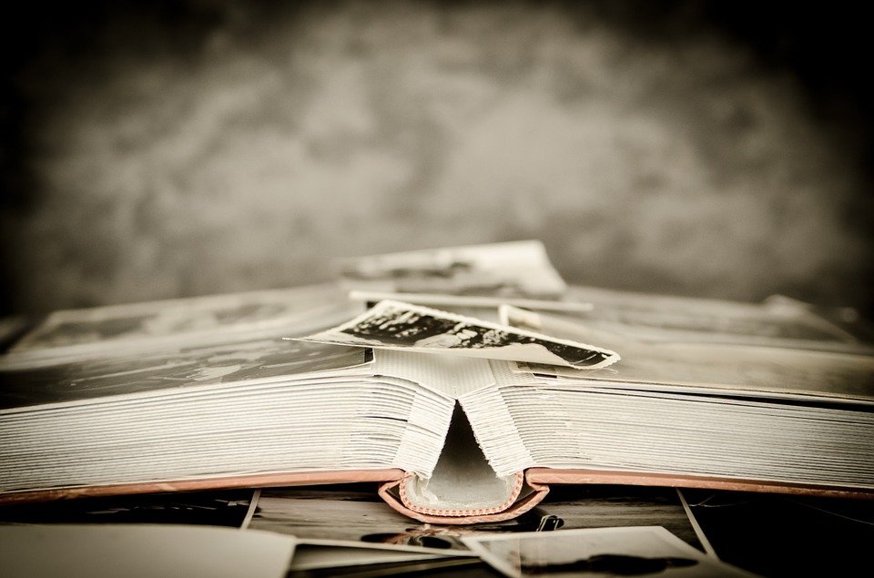 Álbum de fotos │Imagen tomada de: Pixabay Álbum de fotos │Imagen tomada de: Pixabay