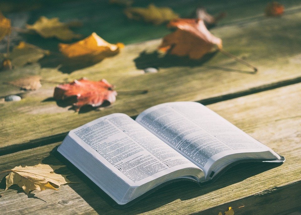 An opened bible outdoors during autumn. | Source: Pixabay