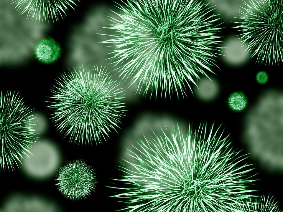 Virus / Imagen tomada de: Pixabay