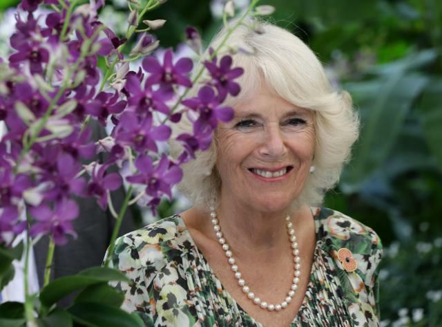 Image Credits: Facebook/Prince Charles And Camilla Fans. Image Credits: Facebook/Prince Charles And Camilla Fans.