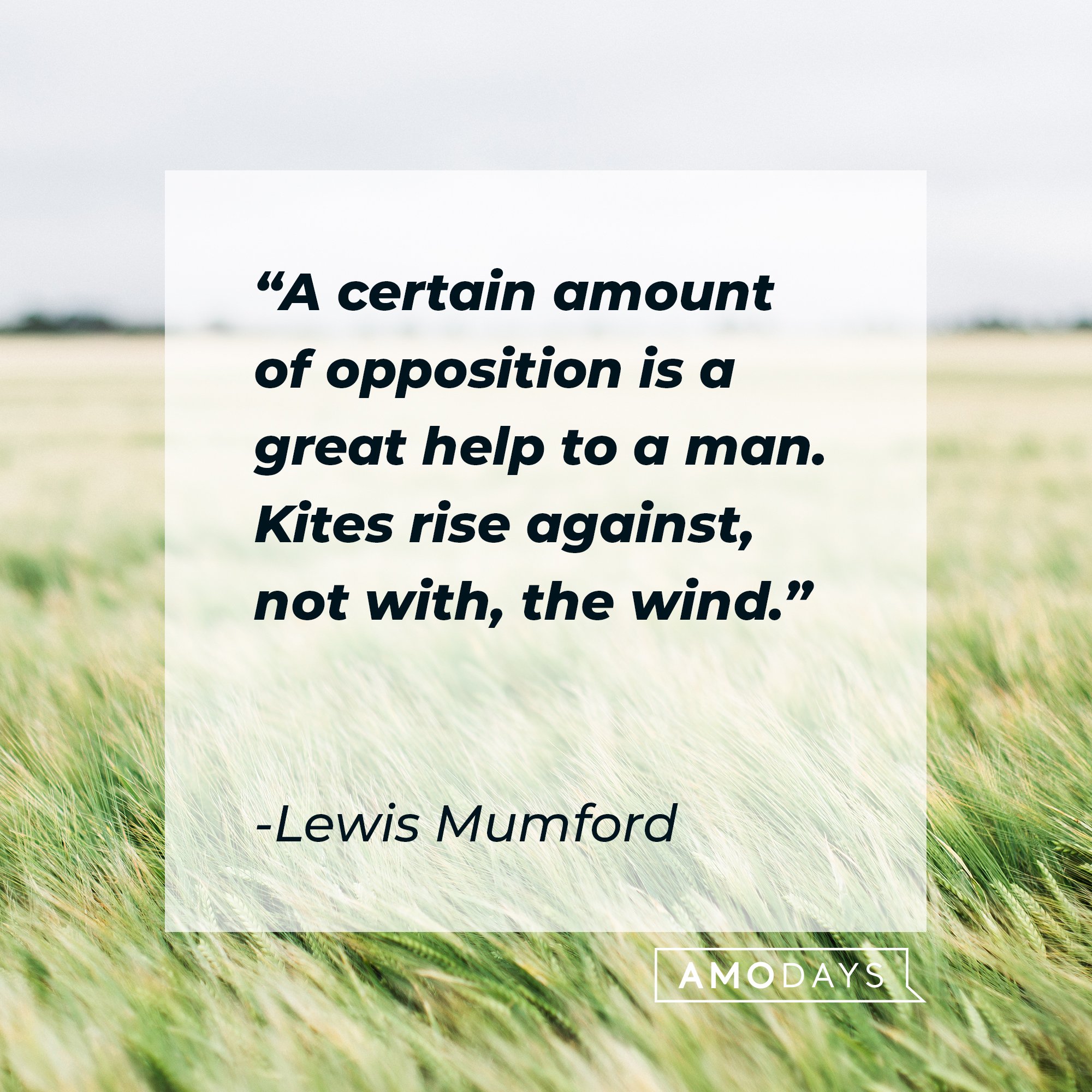 Lewis Mumford's quote: "A certain amount of opposition is a great help to a man. Kites rise against, not with, the wind." | Image: AmoDays