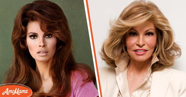 Portrait of Raquel Welch [left]. Raquel Welch at the "How to Be a Latin Lover" Press Conference at the Four Seasons Hotel on April 1, 2017 [right]. | Photo: Getty Images