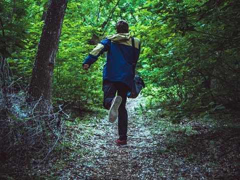 Arthur was taking a long walk in the forest when he realized he may have been lost | Source: Pexels