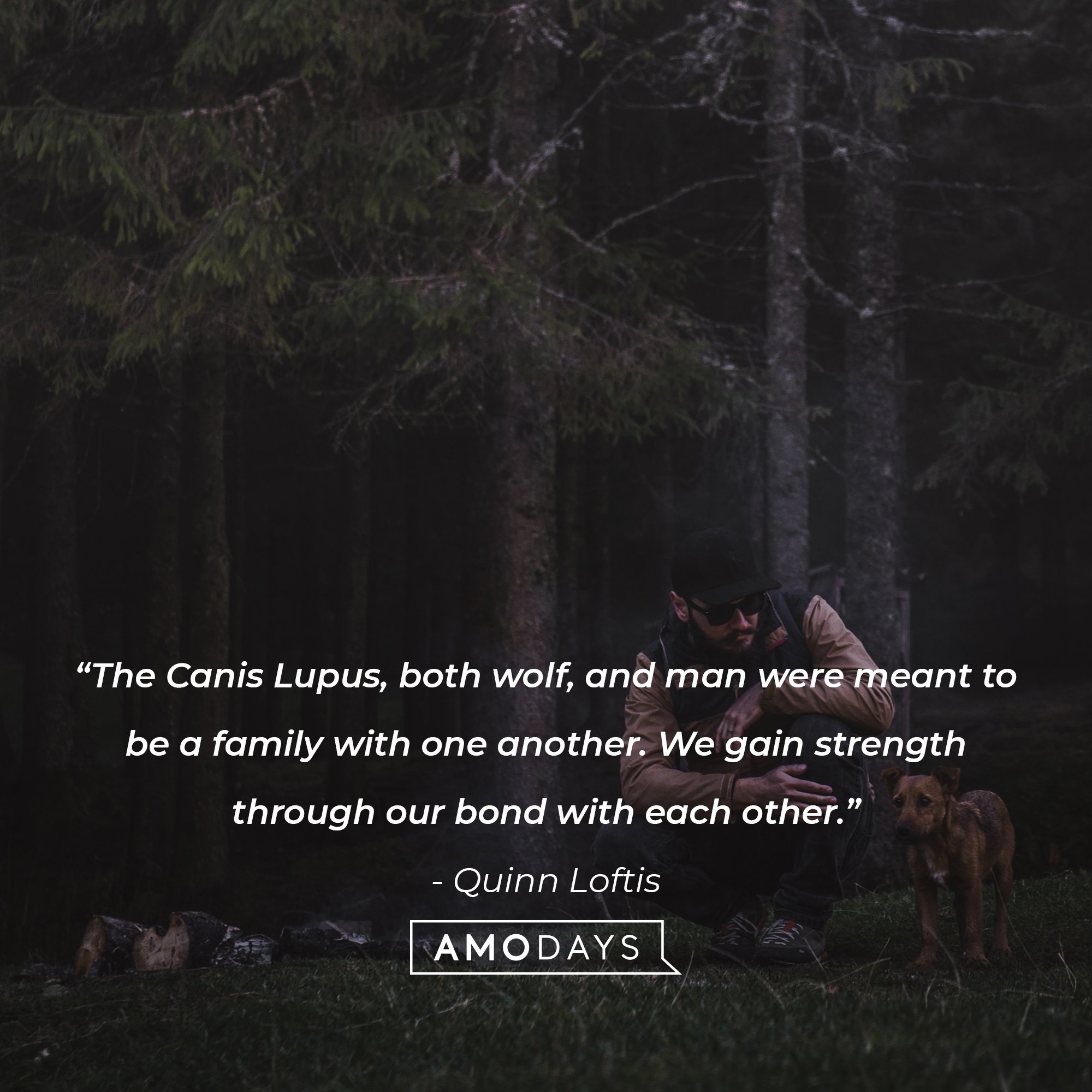 Quinn Loftis's quote: “The Canis Lupus, both wolf, and man were meant to be a family with one another. We gain strength through our bond with each other.” | Image: AmoDays