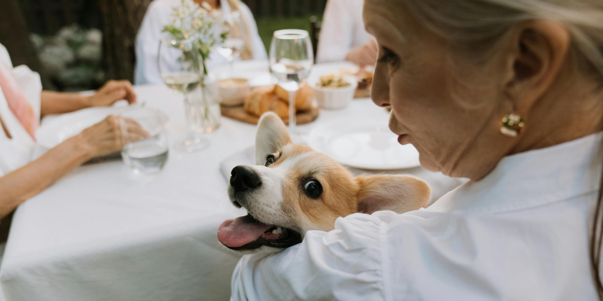 A woman with her pet | Source: Pexels