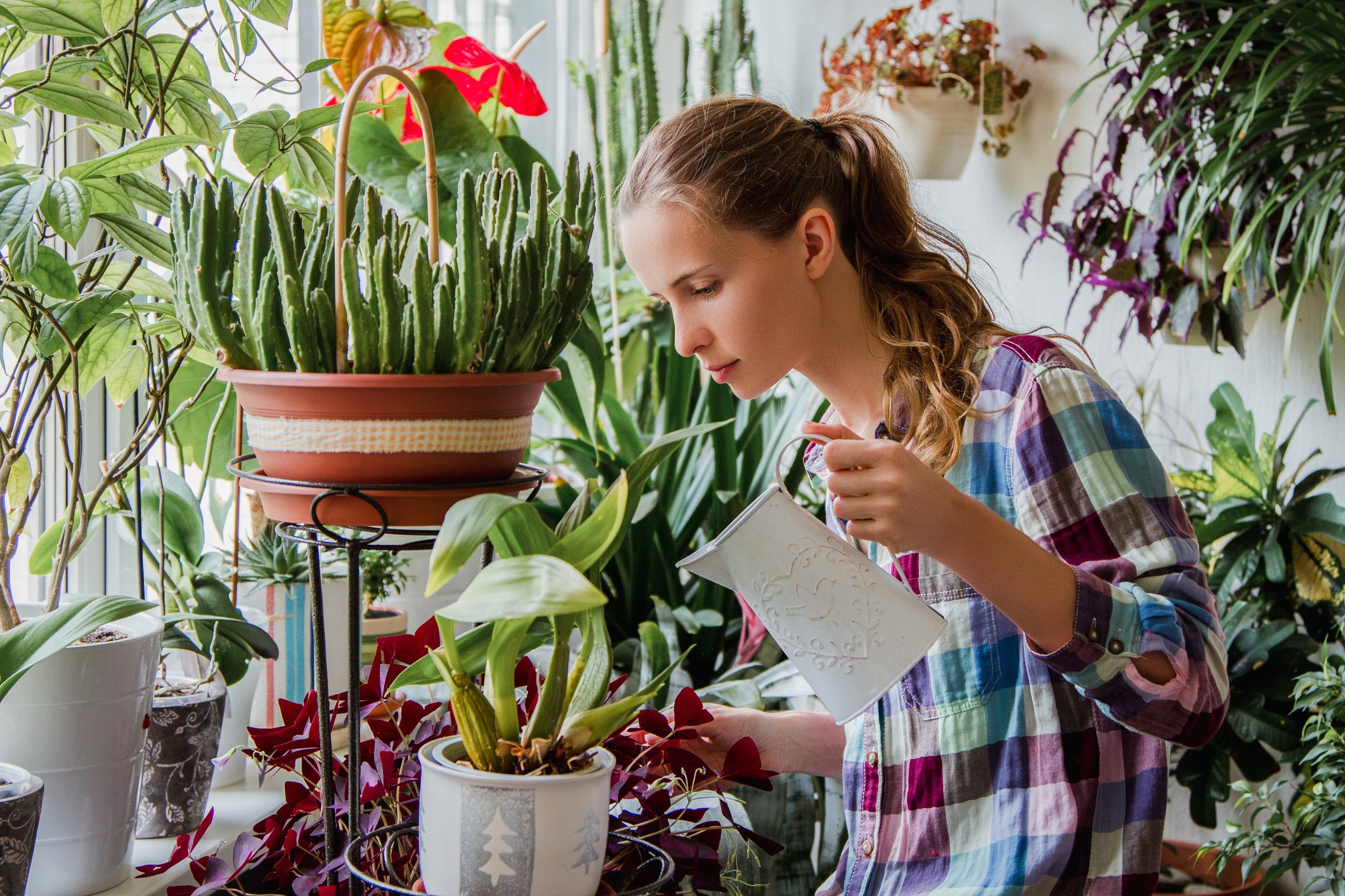 Une femme arrosant ses plantes | photo : Getty Images