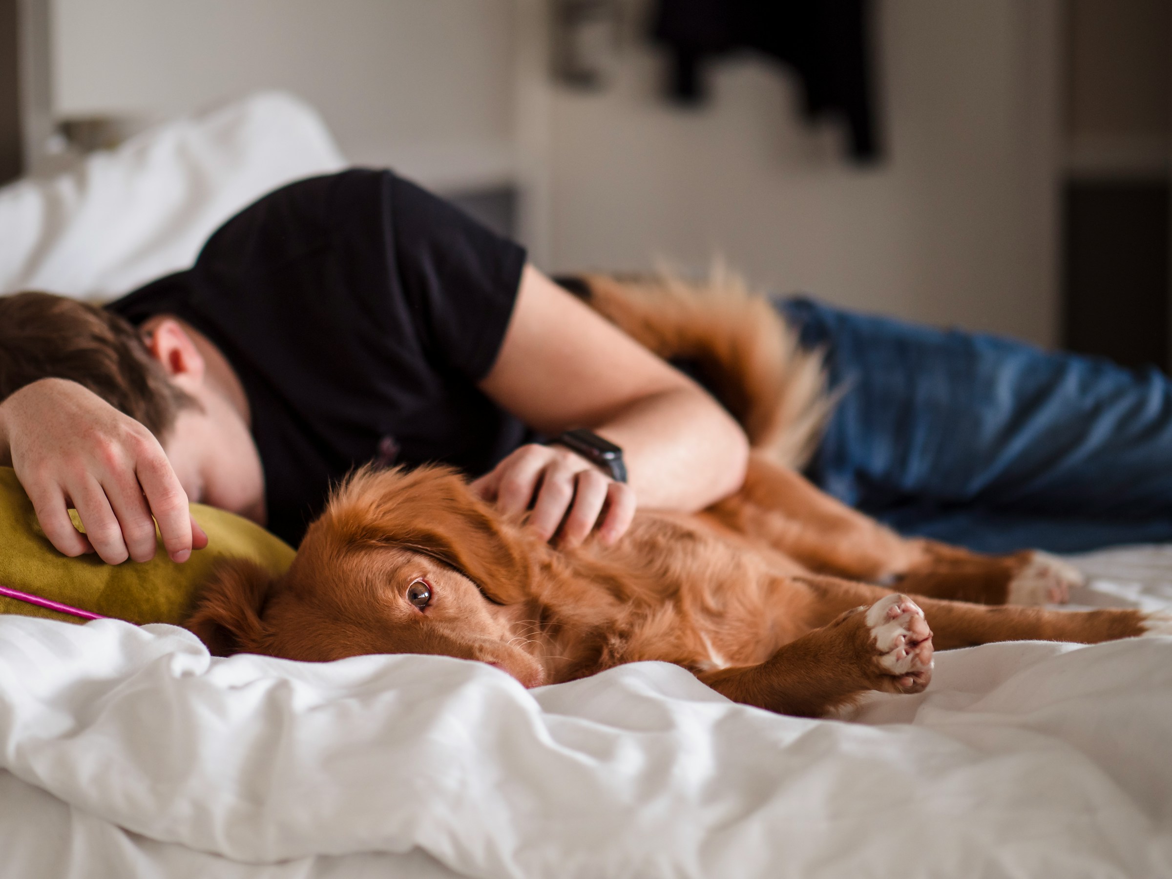 A man sleeping beside a dog | Source: Unsplash