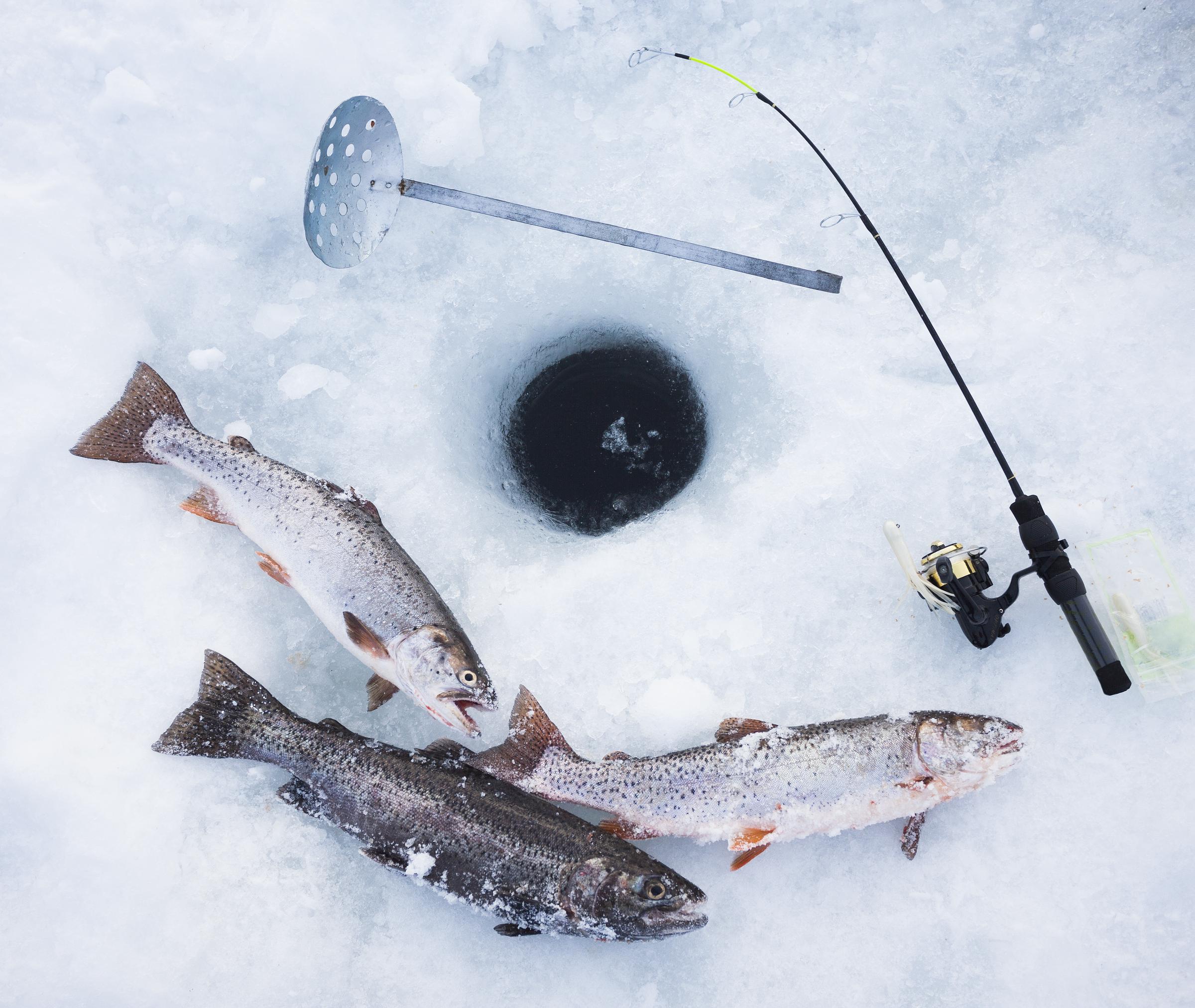 Ice-fishing equipment - Ice fishing hole, fishing rods and trout. | Source: Getty Images