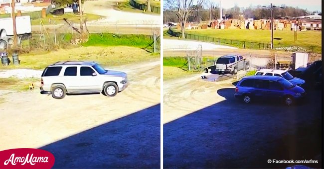 Heartbreaking video shows dog chasing after his owner’s car after being abandoned