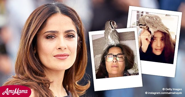 Salma Hayek And Her Owl