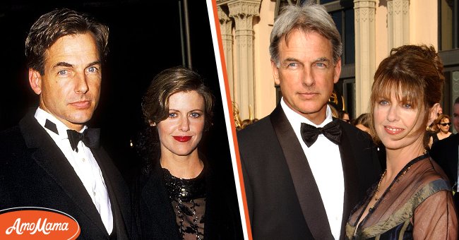 Mark Harmon & Pam Dawber Are Married for 35 Years — Keeping Their ...