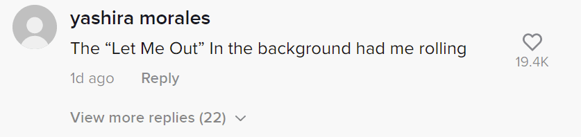 A user's comment on the video of a woman who threw trash on a neighbor's porch. | Photo: tiktok.com/@neighborhood.wars