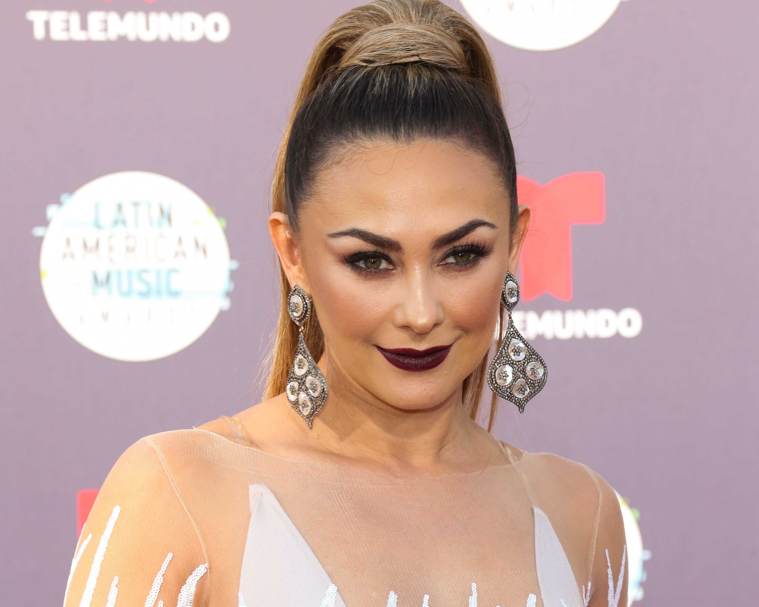 Aracely Arambula at the 2018 Latin American Music Awards in 2018, in Hollywood. | Source: Getty Images