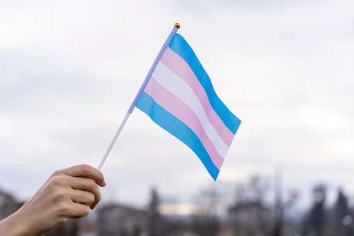 Transgender flag held in the sky | Photo: Getty Images