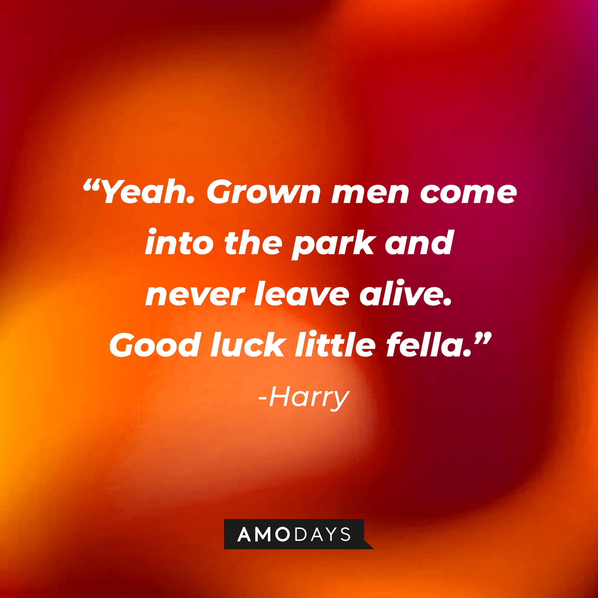 Harry's quote: "Yeah. Grown men come into the park and never leave alive. Good luck little fella." | Source: AmoDays