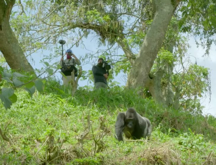 Quelle: YouTube/BBC Earth Quelle: YouTube/BBC Earth