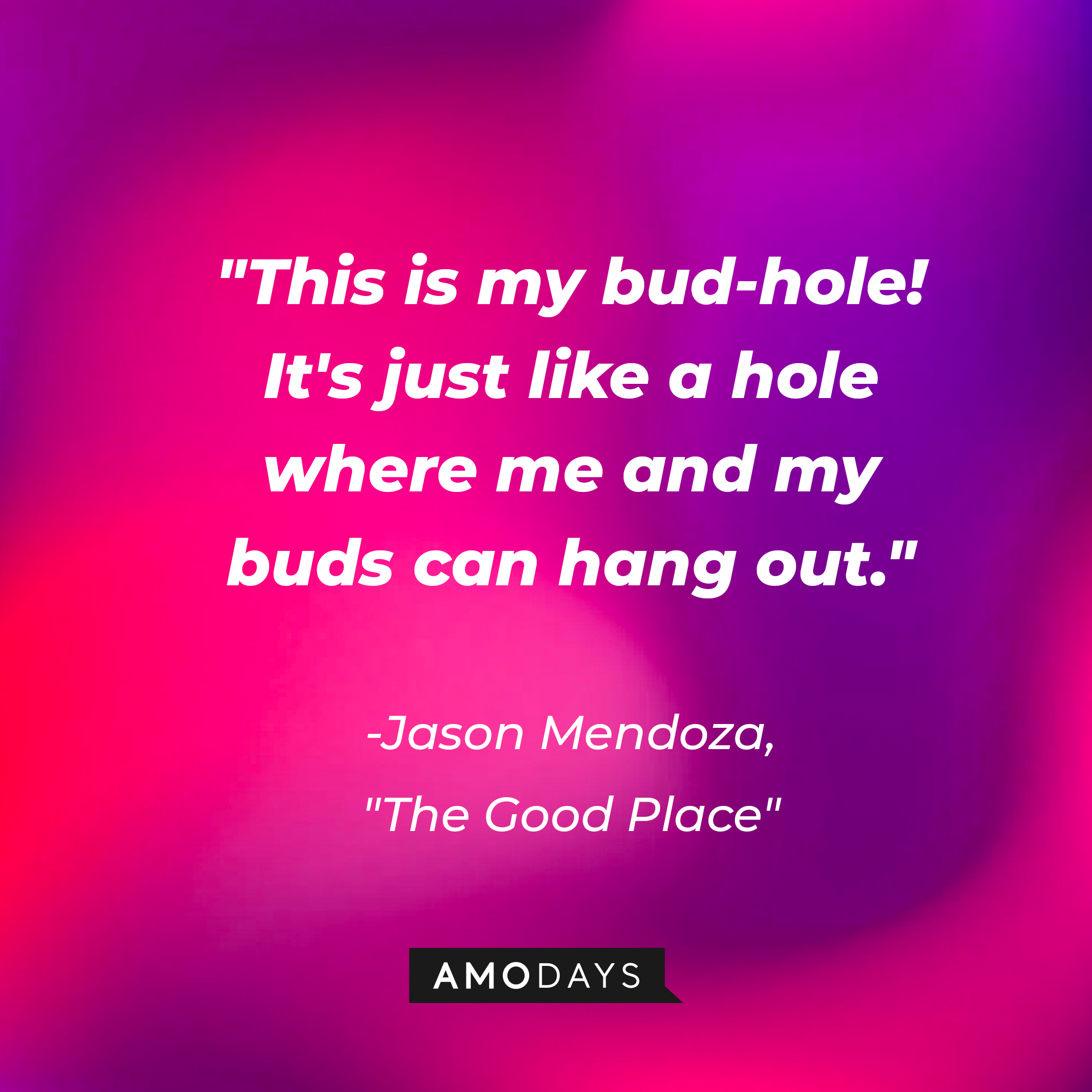 Jason Mendoza's quote in "The Good Place:" “This is my bud-hole! It's just like a hole where me and my buds can hang out.” | Source: Amodays
