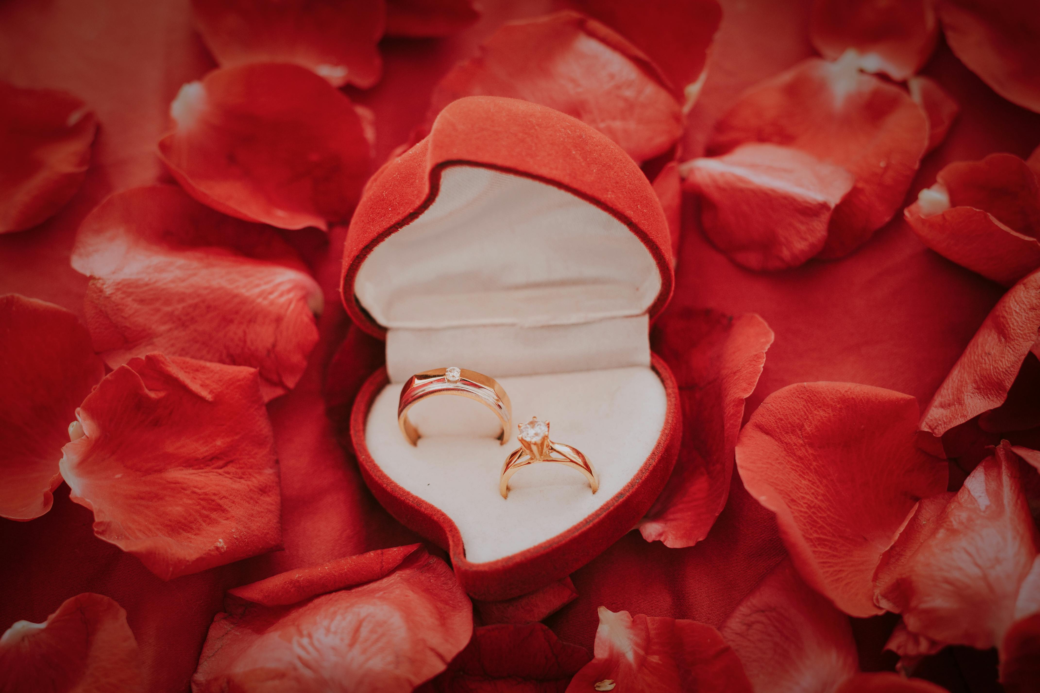 Wedding rings in a box surrounded by flower petals | Source: Pexels