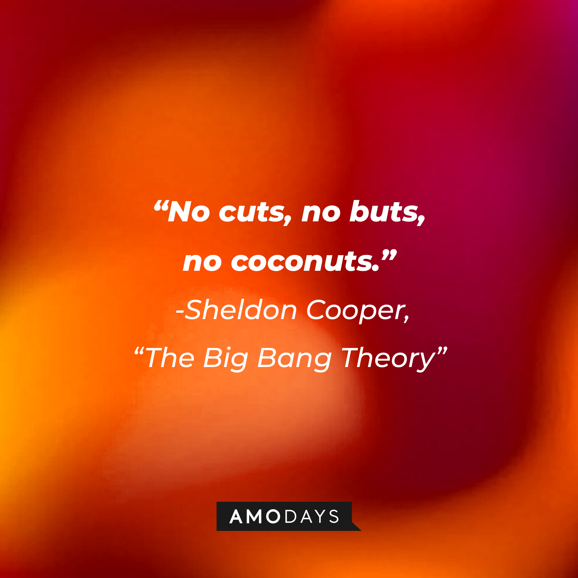 Sheldon Cooper's quote from "The Big Bang Theory": "No cuts, no buts, no coconuts." | Source: Amodays