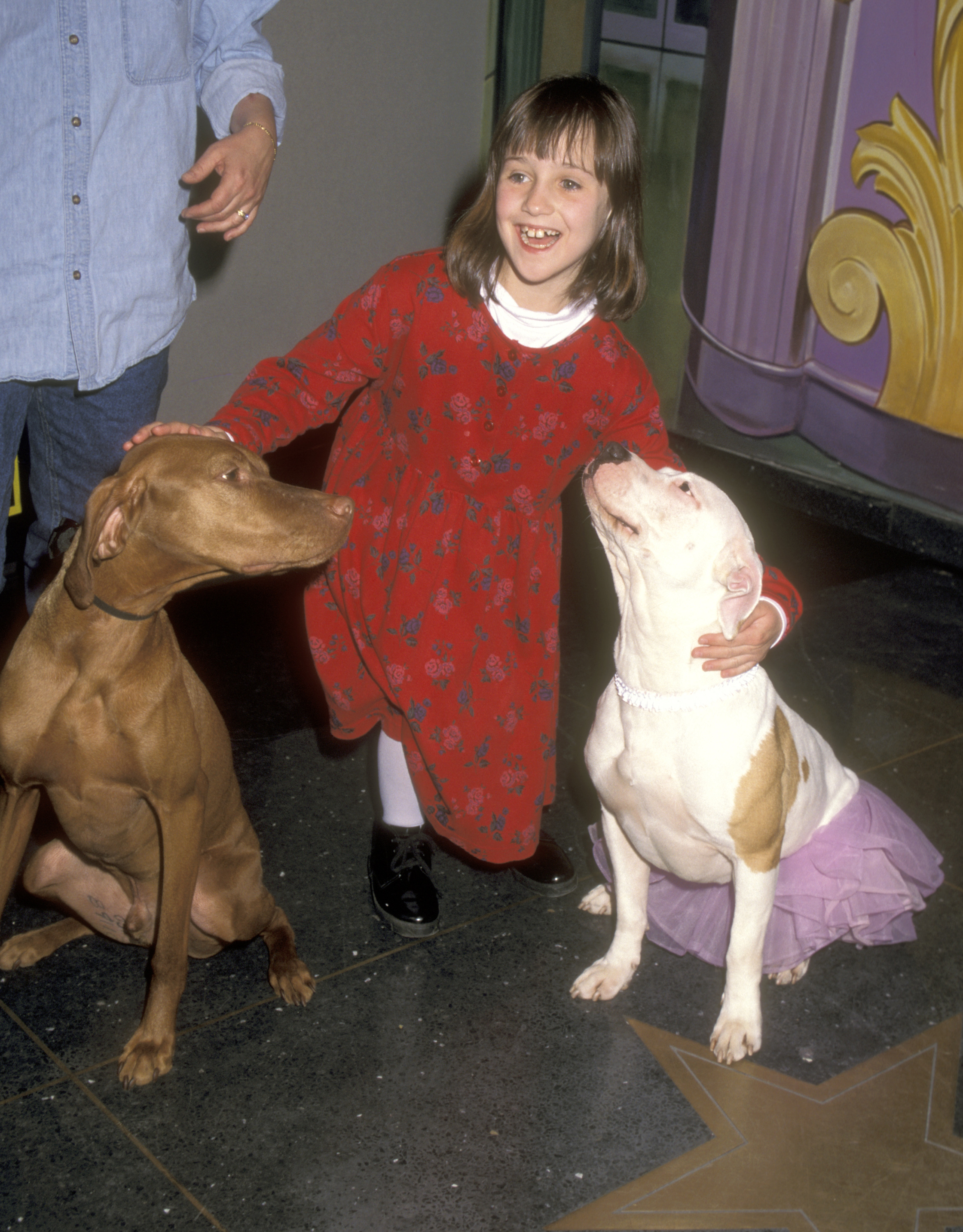 Mara Wilson attends the M&M's Candies Hollywood for Children Family Film Festival at Sony IMAX Theater on April 8, 1996 in New York City. | Source: Getty Images