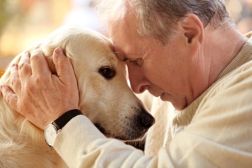Alter Mann streichelt seinen Hund | Quelle: Shutterstock