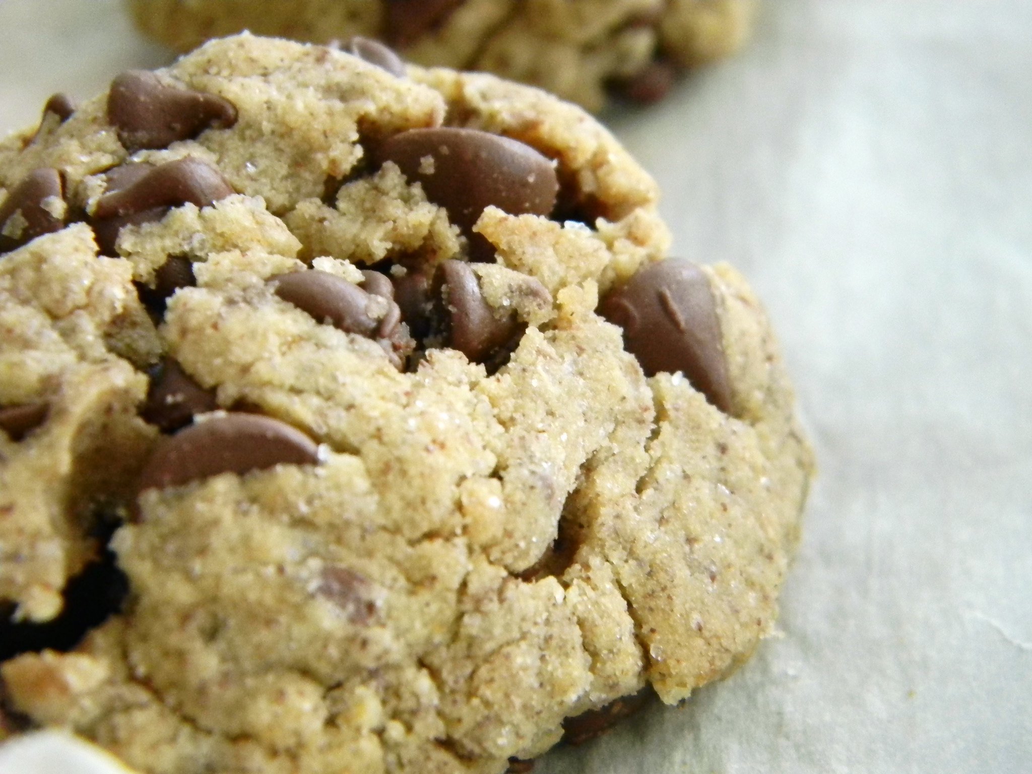Yummy and crunchy gluten and nut-free vegan cookies on February 11, 2011 | Photo: Flickr/Sarah R
