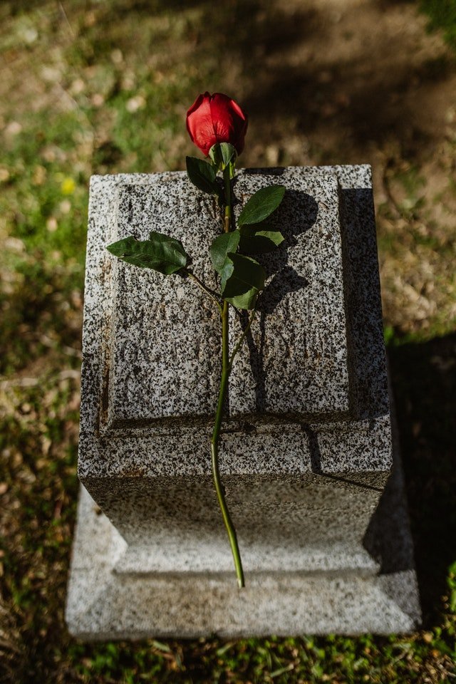 Photo of a rose on a gravestone | Photo: Pexels