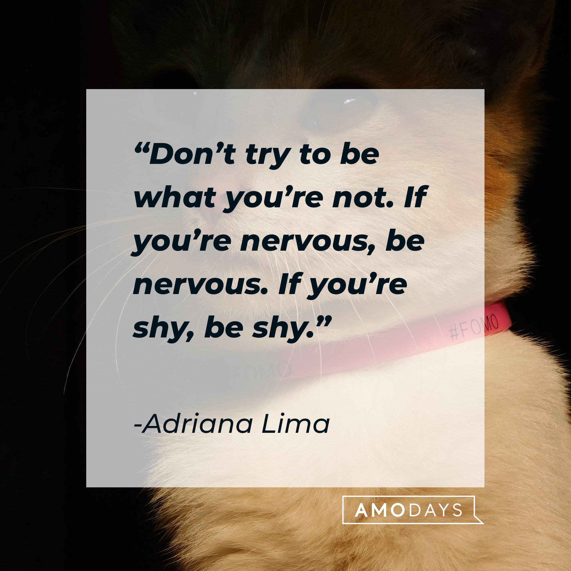 Adriana Lima's quote: “Don’t try to be what you’re not. If you’re nervous, be nervous. If you’re shy, be shy.” | Image: AmoDays