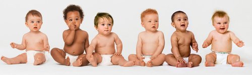 Bild von sechs Babys in einer Reihe | Quelle: Shutterstock