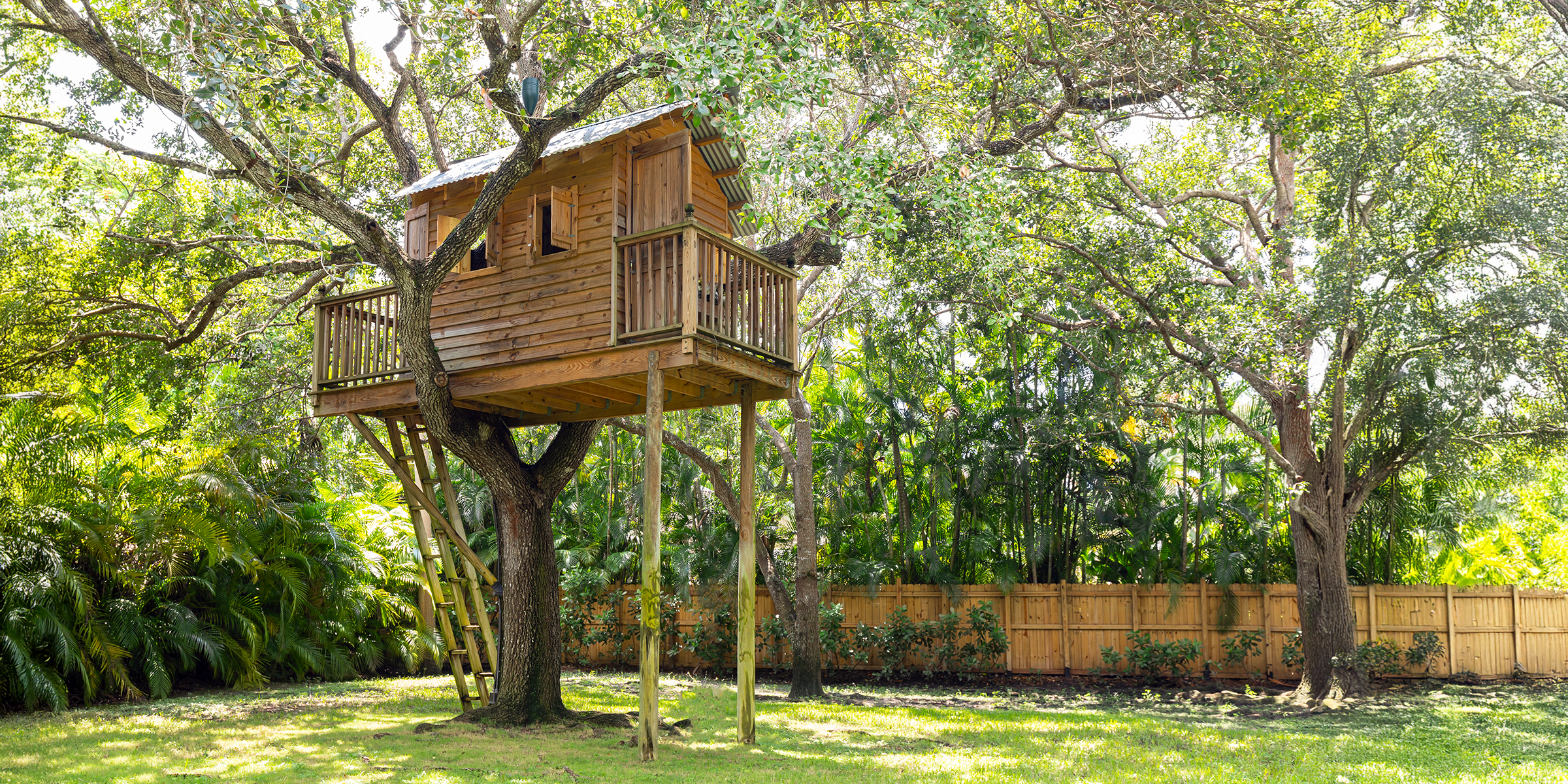 A treehouse in a backyard | Source: Shutterstock