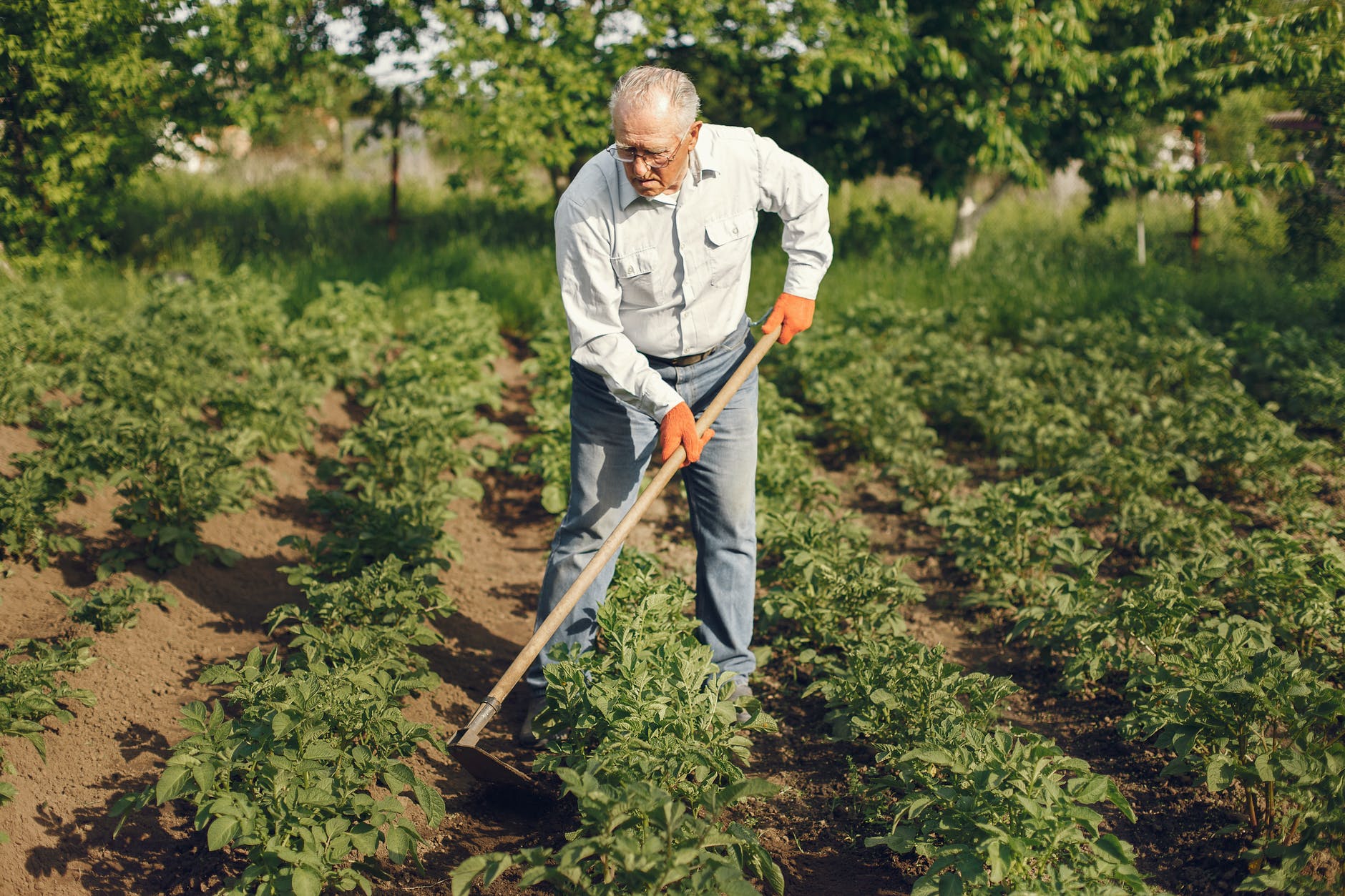 Man in jeans using a rake to garden | Source: Pexels