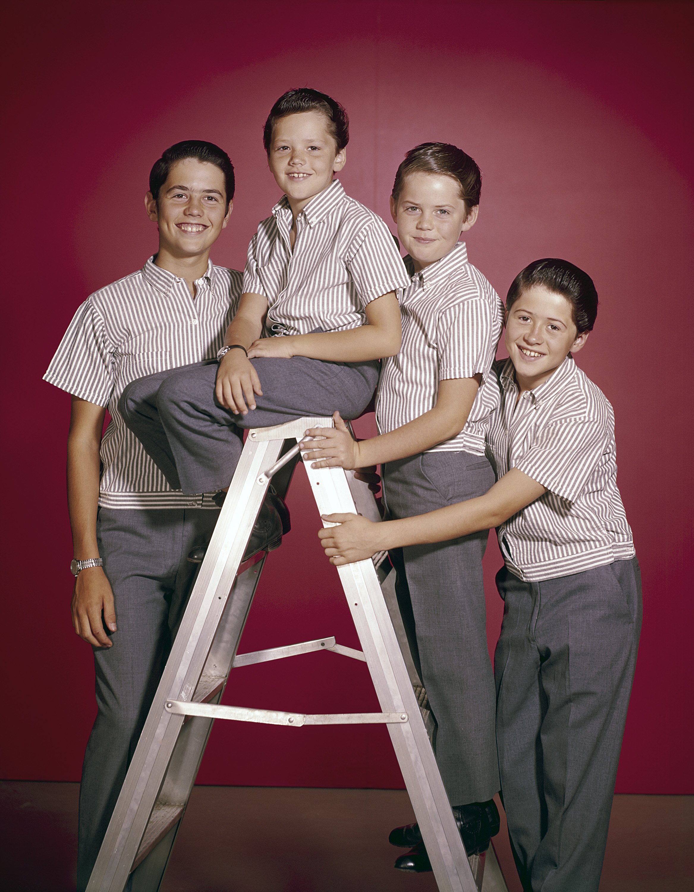 Alan, Jay, Wayne, and Merrill Osmond pictured during an appearance on "The Andy Williams Show" | Source: Getty Images