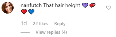 Captures d'écran des commentaires d'Instagram. | Source: Instagram.com/TheresaCaputo