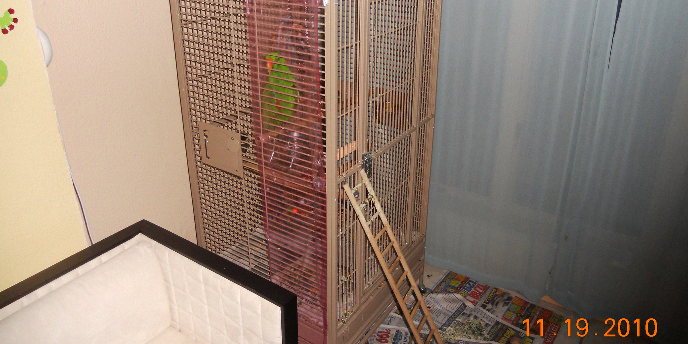 A green parrot in a cage | Source: Flickr