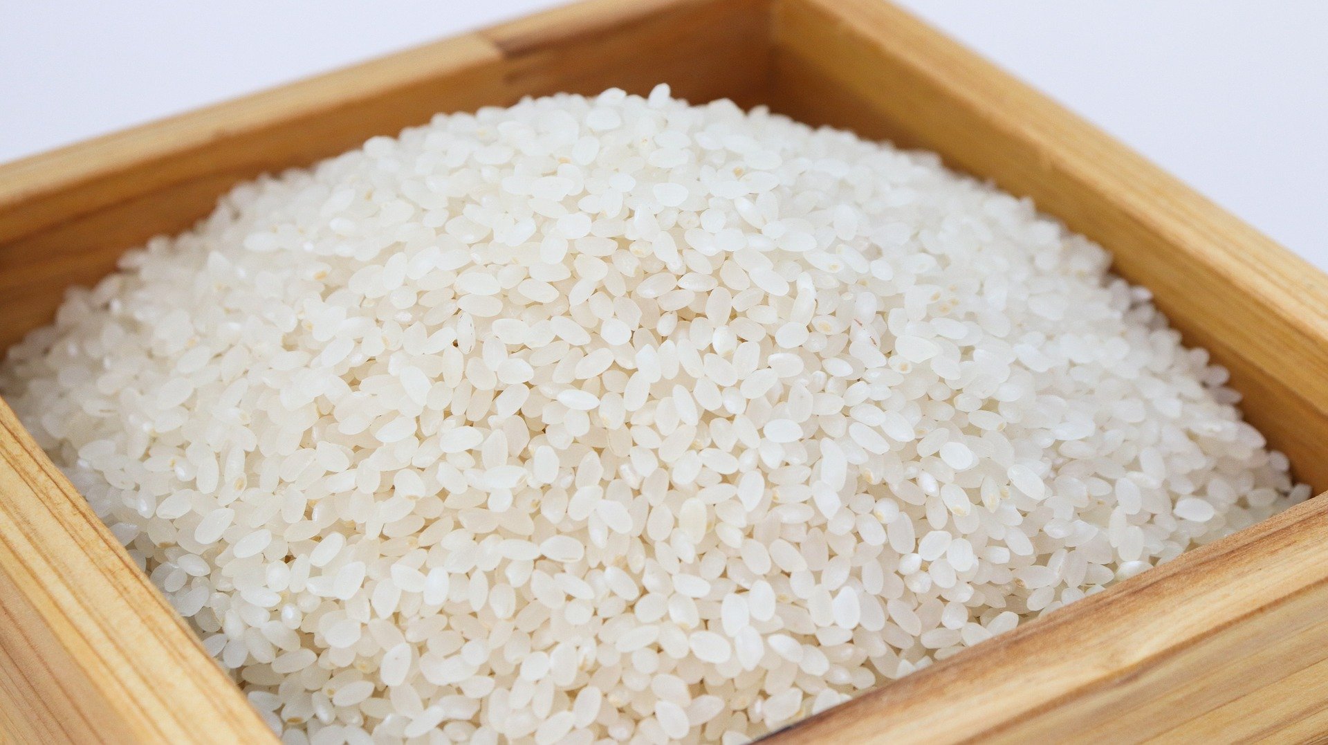 Arroz. Fuente: Pixabay Arroz. Fuente: Pixabay