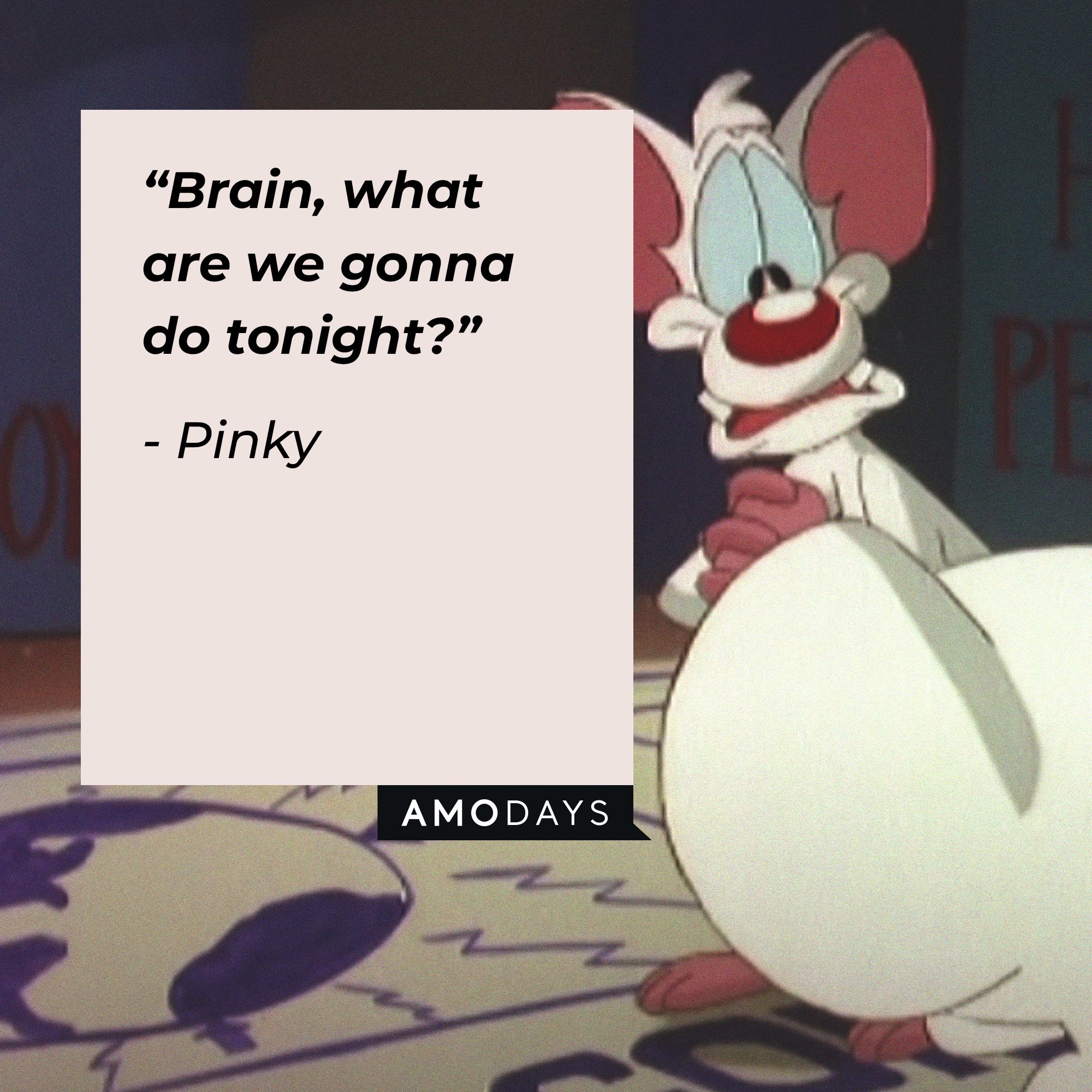 165 ‘Pinky and the Brain’ Quotes Loved by Fans Worldwide