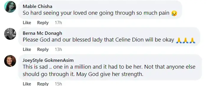 A screenshot of comments talking about Claudette Dion's health update concerning her sister posted on August 31, 2023 | Source: Facebook/Daily Mail